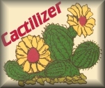 Cactilizer Page